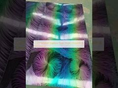 ورق فولاد ضد زنگ پوشانده شده رنگی، با دوام و تزئینی