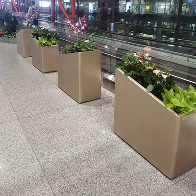 گیاهان فولاد ضد زنگ در فضای باز برای پروژه سبز کردن جاده های شهری و مسکونی
