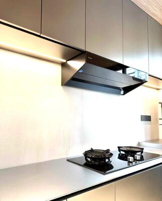 قیمت خوب سینک لباسشویی فولاد ضد زنگ 25 اینچی ضد خش، سینک کاربردی، نصب از بالا آنلاین